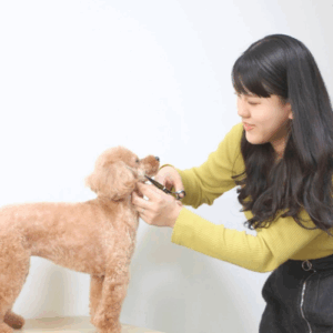 Marina 橋本がトリミングしている様子